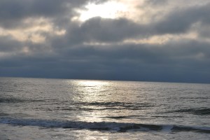 Gray Turning To Blue!